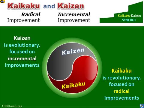 Kaizen & Kaikaku - radical & incremental improvements, Yin & Yang