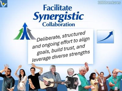 Innovative Orhganization:  Facilitate Synergistic Collaboration