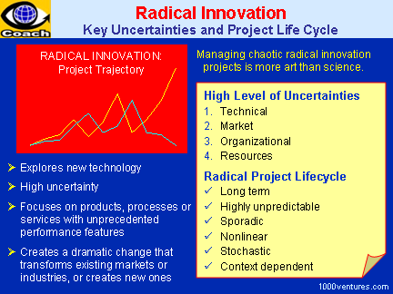 innovation radical advantage strategy management project growth competitive business vs profitability driver key