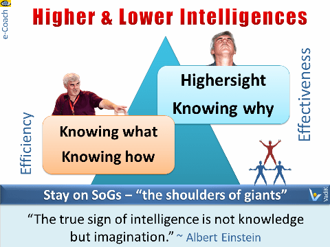 Types of Intelligence: Higher Intelligence, Lower Intelligence