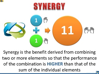 Synergy definition Synergy example