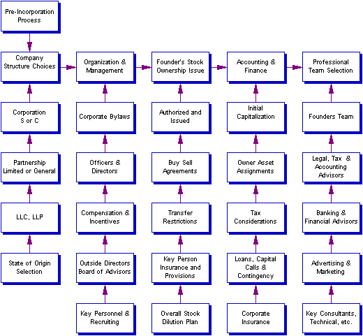 venture plan alternatives