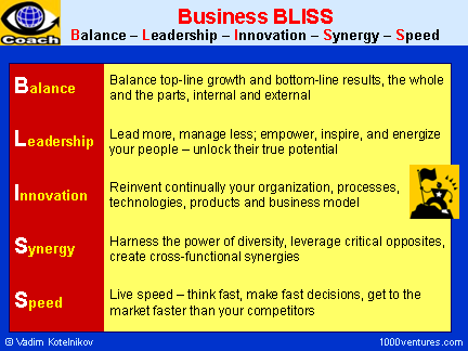 Balance: Business BLISS ; Balance + Leadrship + Innovation + Synergy + Speed
