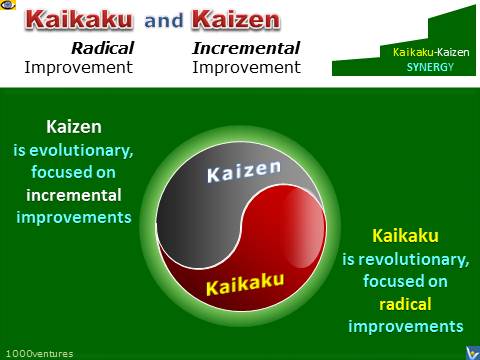 KAIZEN and KAIKAKU - Yin and Yang - Continuous Improvement Synergy