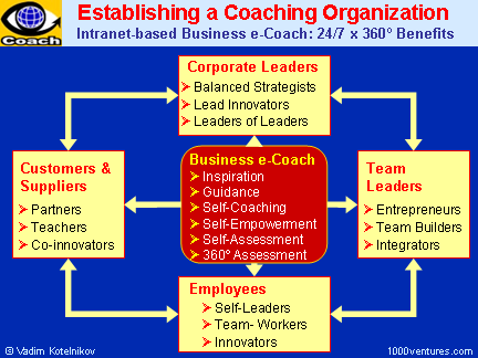 Establishing a Coaching Organization: Key Areas and Benefits