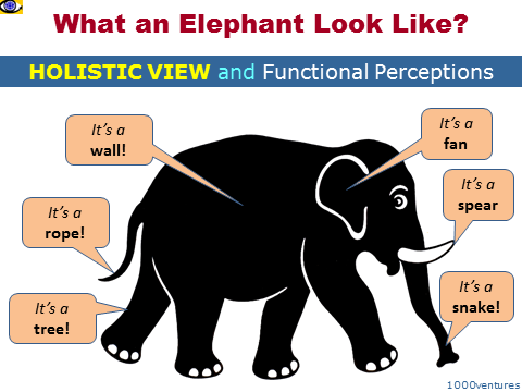 Holistic Big Picture, Elephant perceived by six blind men parable