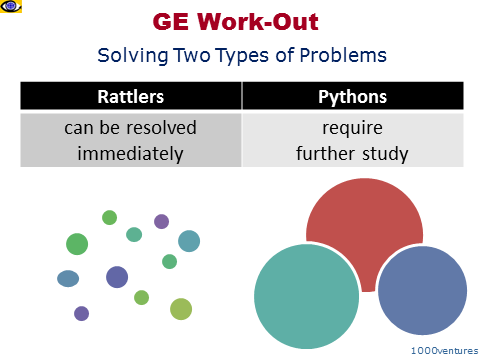 GE Work-Out solving 2 types of peoblems rattlers pythins