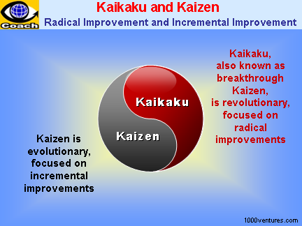 Kaikaku and Kaizen