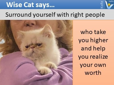 Wise cat says... surround yourself with right people