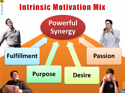 Intrinsic Motivation Mox: Passion, Desire, Purpose, Fulfillment