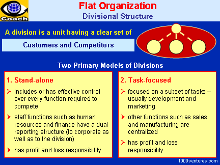 FLAT ORGANIZATION: Divisional Structure