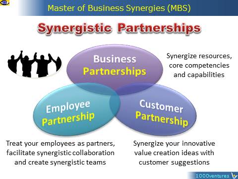 Synergistics Partnerships: Business, Customer, Employee, Master of Business Synergies, MBS, Vadim Kotelnikov